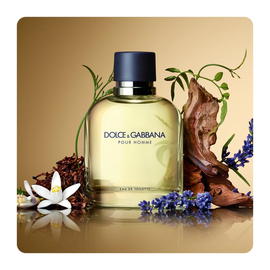 DOLCE & GABBANA POUR HOMME 200ML EDT (H)