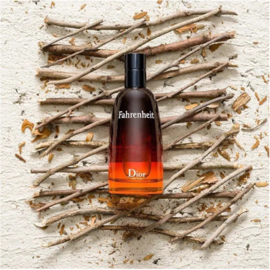 CRISTIAN DIOR FAHRENHEIT EDT 100ML (H)
