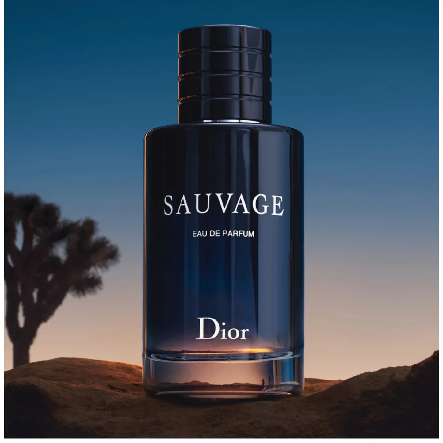 CHRISTIAN DIOR SAUVAGE 100ML EDP (H)