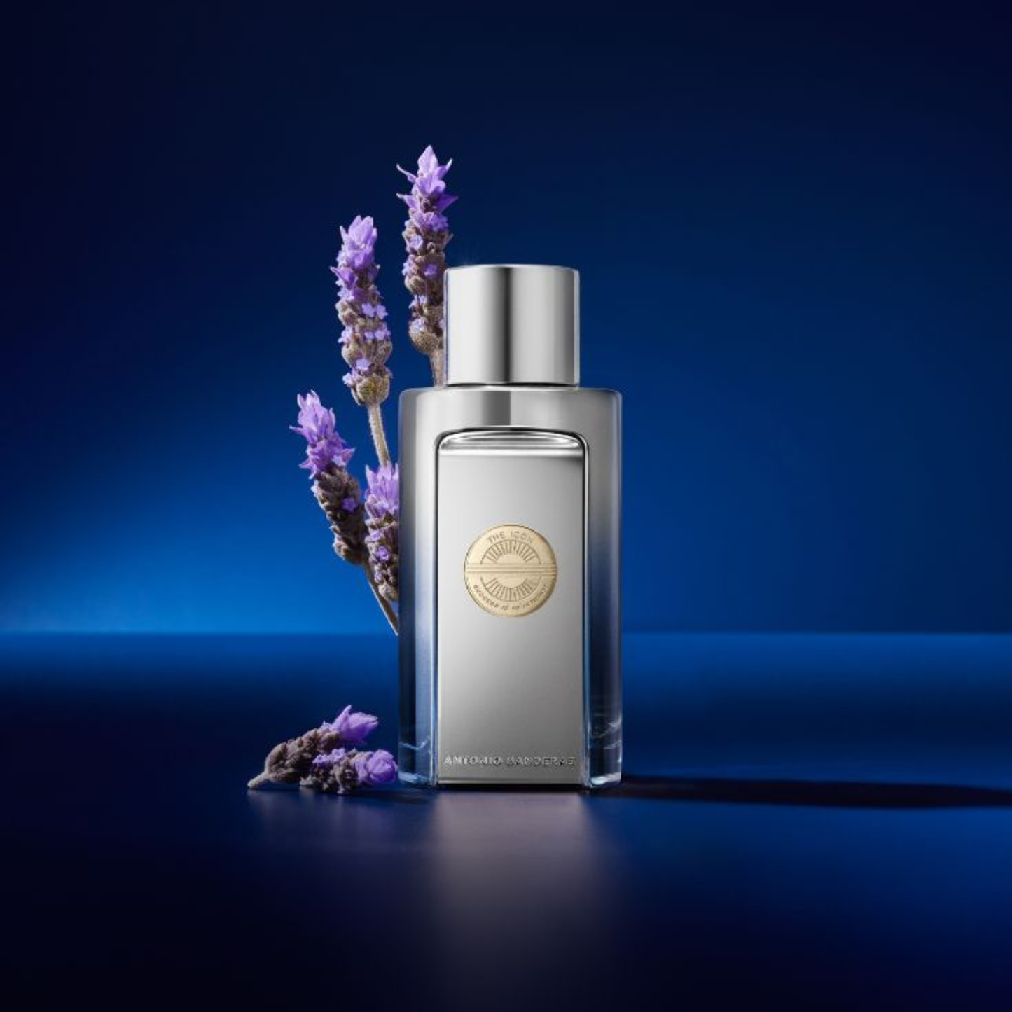 ANTONIO BANDERAS THE ICON ELIXIR 100ML EDP (H)