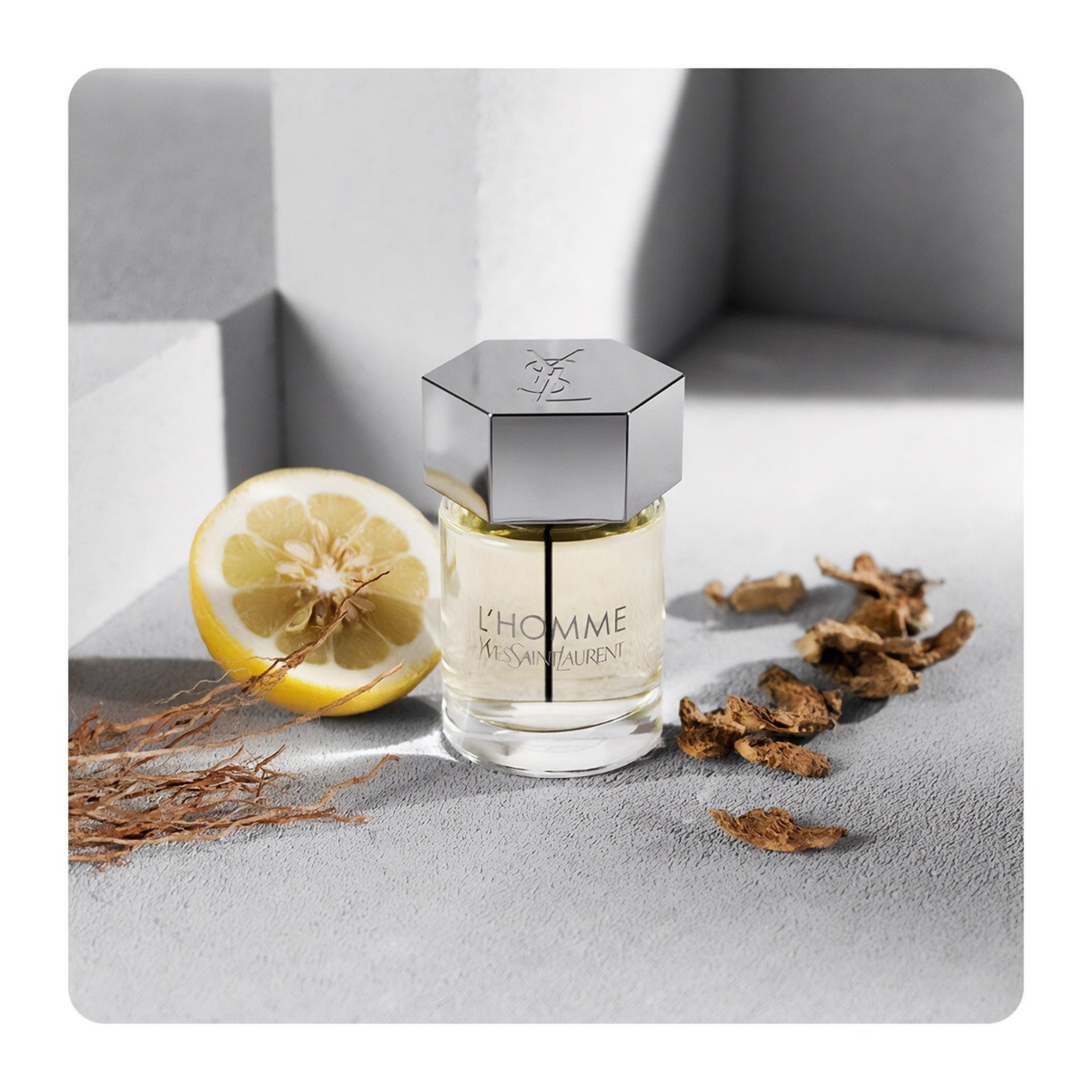 YVES SAINT LAURENT L'HOMME 100ML EDT (H)