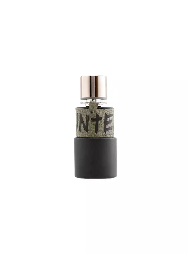 ARMAF HUNTER INTENSE UNISEX EDP 100 ML