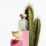 Benetton United Dreams Green Cactus Edt 80 ml MUJER