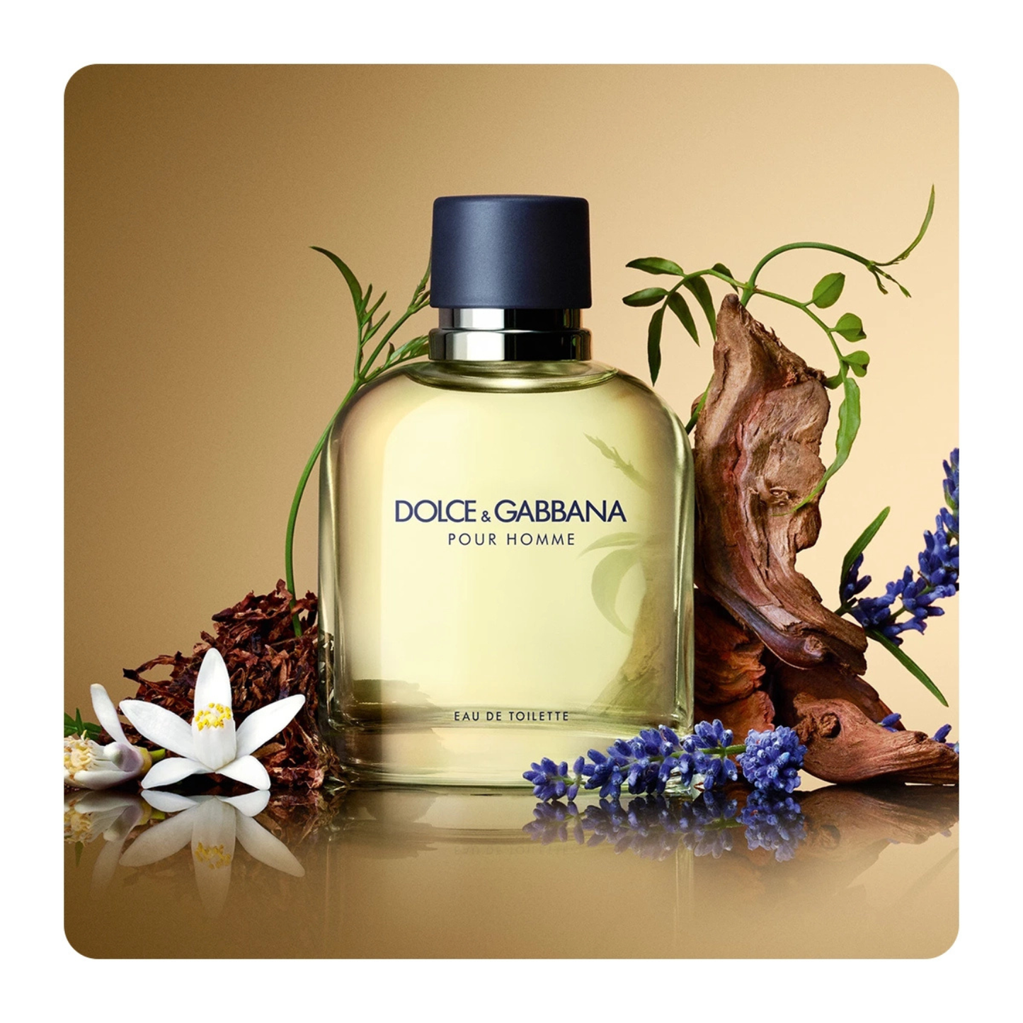 DOLCE & GABBANA POUR HOMME 200ML EDT (H)