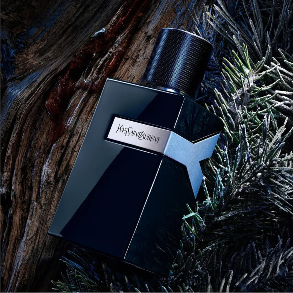 YVES SAINT LAURENT Y LE PARFUM 60ML (H)