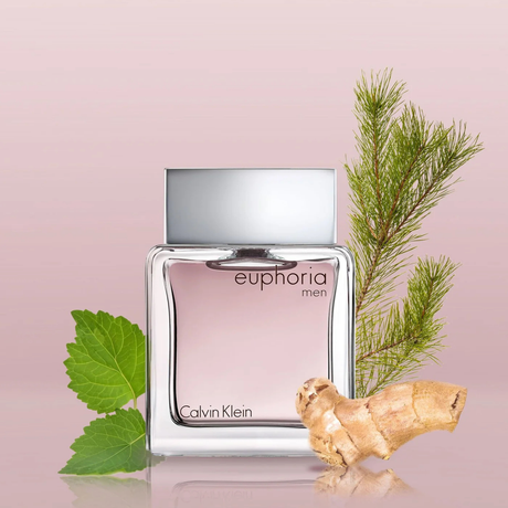 CALVIN KLEIN EUPHORIA MEN 50ML EDT (H)