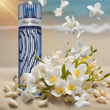 Paris Hilton Hombre EDT 100 ml